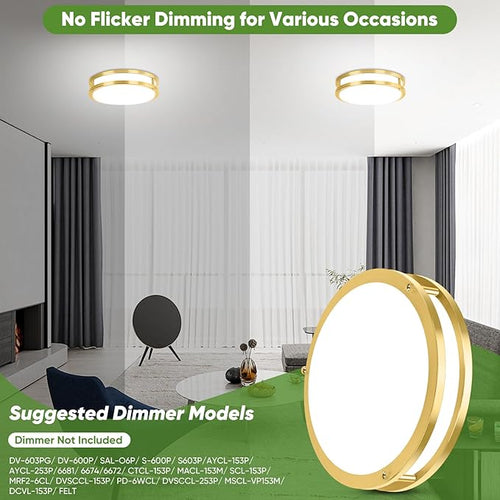 10 Inch LED Flush Mount Ceiling Lights, Gold Kitchen Lighting Fixtures with 2700K/3000K/4000K/5000K/6500K 5 Color Adjusted, Dimmable Modern Round LED Lights for Bedroom Living Room Laundry, 2-Pack