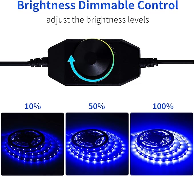 12 Volt 20ft Blue led Strip Lights, Non-Waterproof 360 LEDs Blue led Lights for Bedroom, Shops, Christmas, Halloween.