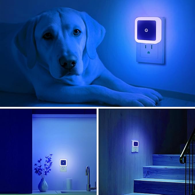 6 Pack Blue LED Night Light Plug in, Dusk to Dawn Sensor Automatic On and Off, Energy Efficient, Soft Glow Kids, Nursery, Bedroom, Bathroom, Hallway, Stairs, Kitchen