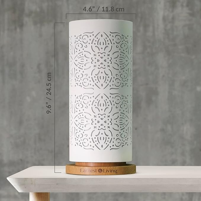 Earnest Living Waterless Diffuser 100ml Nebulizing Diffusion System for Large Ambient Space Studio Home Office Hotel Spa