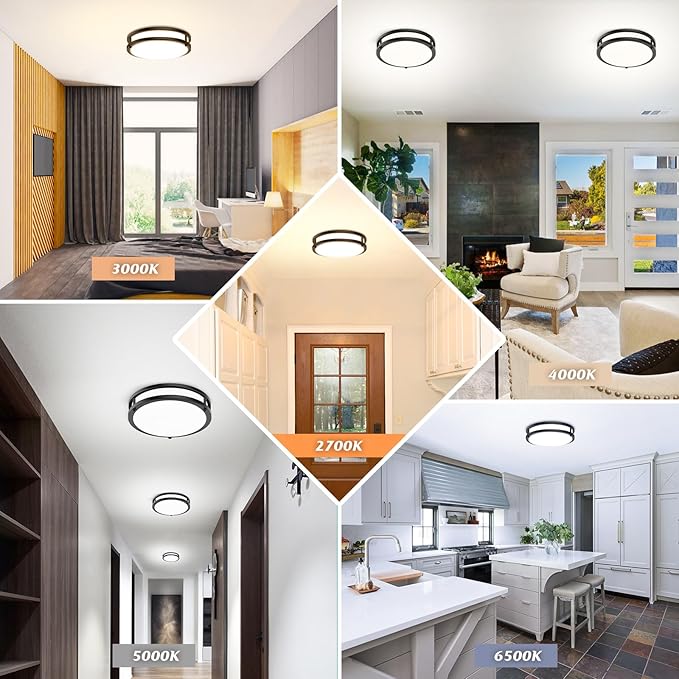 10 Inch LED Flush Mount Ceiling Light Fixture, 30W 4000LM Dimmable 2700K/3000K/4000K/5000K/6500K Color Changing Ceiling Light, Black Modern Ceiling Lamp for Living Room Bedroom Kitchen Hallway, 1-Pack