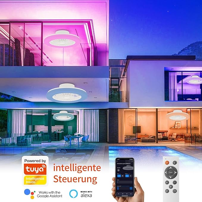 Modern LED Ceiling Light with Fan, RGB Ceiling Fan Lights, Ceiling Fan with lamp, 24 Ventilation speeds, infinitely dimmable Light for Living Room, Bedroom, Office, 3000-5500 K (White &19" & RGB)