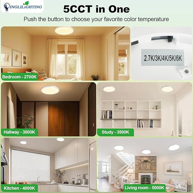 LED Flush Mount Ceiling Light: 12 inch 1Pack Super Slim Dimmable & 5CCT (2700-6500K) Kitchen Lighting Fixtures Ceiling - 24W Silver Low Profile Ceiling Lamp for Bedroom Garage Hallway