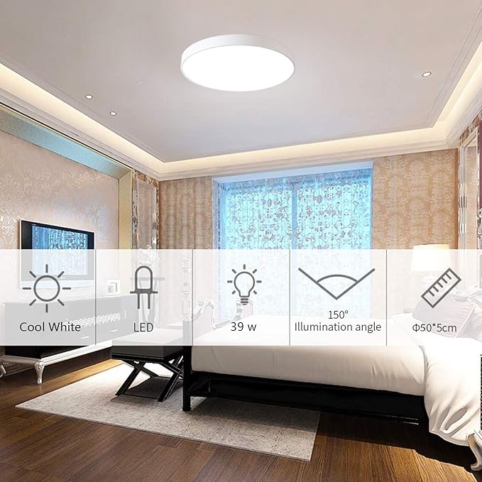 Ganeed LED Ceiling Lights,39W 19.6Inch Modern Ceiling Lamp,Flush Mount Lighting Fixture Round,6500K Cool White Ceiling Lighting for Dining Hallway Living Kitchen Bedroom Room