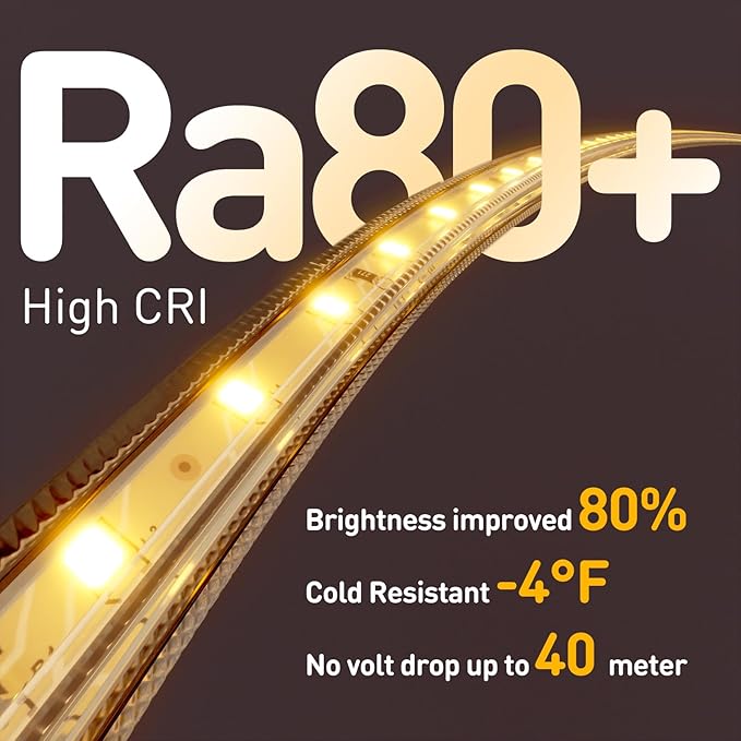 Shine Decor LED Strip Light Easy Connectable, 2800K Warm White Cold Resist Weatherproof Plug-in for Indoor Outdoor, 101 LM/FT Dimmable Bright Eco Rope Lighting 65FT, 120V Whole Set ETL Listed