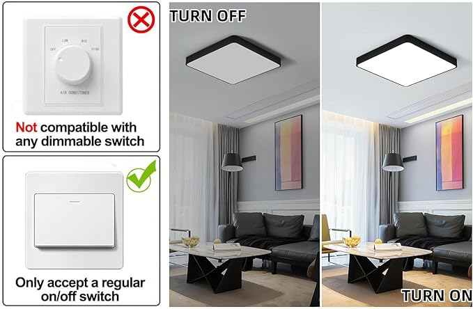 Ganeed 19.6 inch LED Ceiling Light, 39W Black LED Day White 6500K Square Flush Mount Ceiling Lamps, Energy Saving Light Fixture for Office Bedroom Kitchen Hallway Stairways