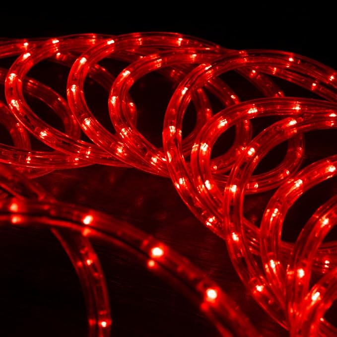WYZworks 216LEDs, 20ft LED Outside Rope Lights, Waterproof Permanent Outdoor ETL Certified Connectable Clear Tube, Christmas Palm Tree Holiday Decorative Landscape Patio Accent Lighting - Red