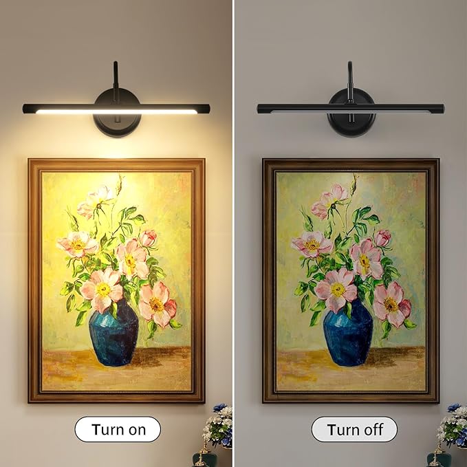 JOOSENLUX LED Picture Light Hardwired Matte Black Modern Picture Lights for Paintings 16.54'' Inch Long Swing Arm Metal Art Lights Warm White 3000K