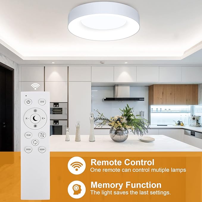 LEZOE RGB Flush Mount LED Ceiling Light Dimmable with Remote Control 11 Inch, 24W 2400lm Color Changing Ceiling Light Fixture, 3000K-6500K Ceiling Lamp for Bedroom Kitchen Hallway Party Living Room