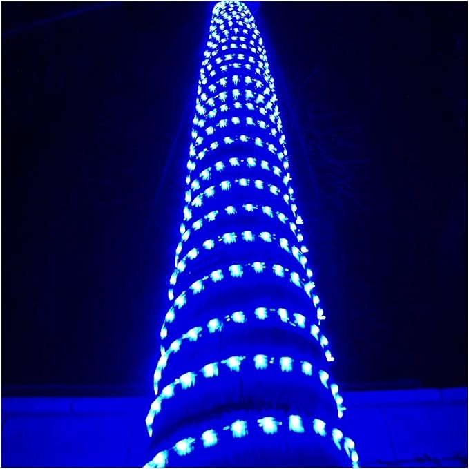 Russell Decor LED Rope Lights Festival Holiday Party Seasonal Christmas Decoration 30ft - 200ft Customized Available (Blue, 20)