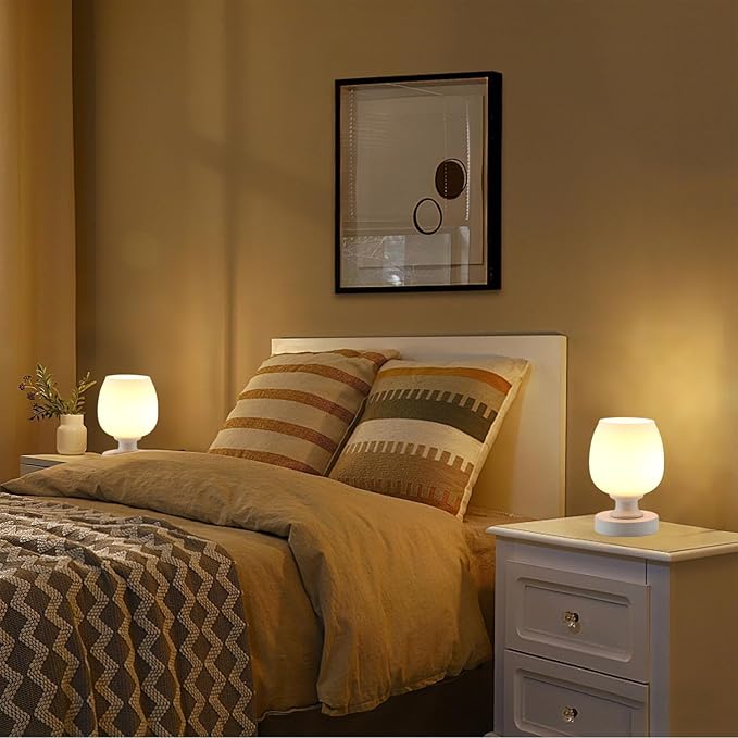 Small LED Table Lamp for Bedroom, 2 Sets Touch Control Dimmable Desk Light,USB Port White