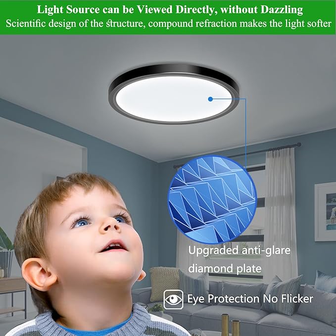LED Flush Mount Ceiling Light Fixture, 24W 12Inch 2880LM Low Profile Black Ceiling Light for Bedroom, Living Room, Dining Room, Pack of 2