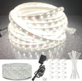 33ft Outdoor LED Strip Lights Waterproof, 600 LEDs 12V Low Voltage Rope Lights, Dimmable White Flat Flexible Lighting for Patio Garden Backyard Christmas Decor (Not Extendable)