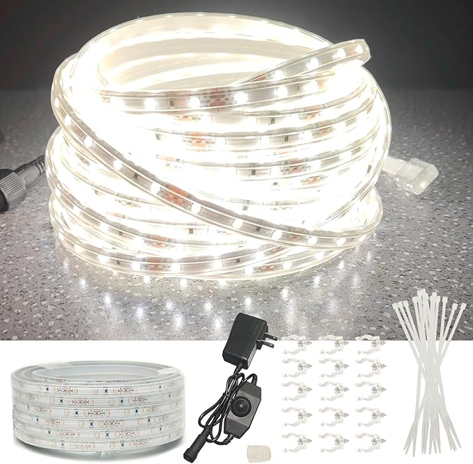 33ft Outdoor LED Strip Lights Waterproof, 600 LEDs 12V Low Voltage Rope Lights, Dimmable White Flat Flexible Lighting for Patio Garden Backyard Christmas Decor (Not Extendable)