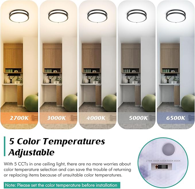 10 Inch LED Flush Mount Ceiling Light Fixture, 30W 4000LM Dimmable 2700K/3000K/4000K/5000K/6500K Color Changing Ceiling Light, Black Modern Ceiling Lamp for Living Room Bedroom Kitchen Hallway, 1-Pack