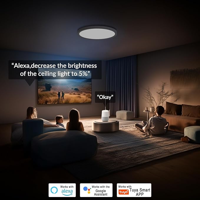 Smart RGB LED Ceiling Light with Remote, 12" WiFi Flush Mount Ceiling Light Works with Alexa & Google Home, 24W=2400LM Dimmable, DIY Colors & 2700K-6500K, for Bedroom Living Room, 1 Pack