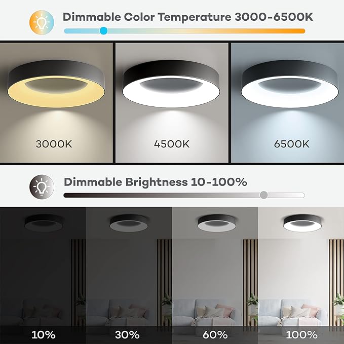 RGB Led Flush Mount Ceiling Light with Remote Control, 11 Inch 24W Black Ceiling Light Fixture, 3000K-6500K Light Color Changeable, Modern Ceiling Lights for Bedroom Kids Room