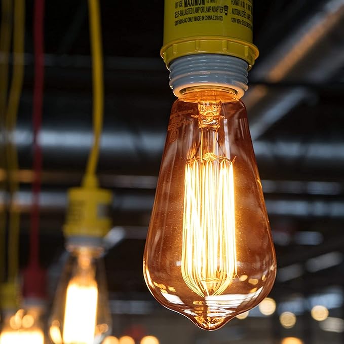 Vintage Edison Incandescent 60W Light Bulbs (6 Pack) - E26/E27 Base, 2100K Dimmable Decorative ST64 Antique Squirrel Filament Amber Warm Bulb for Indoor & Outdoor