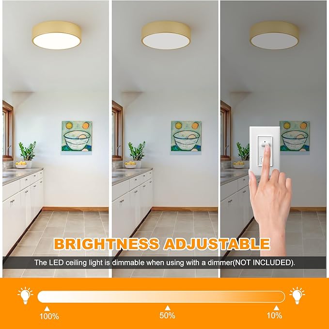 Dimmable LED Ceiling Light, 5CCT Modern Round Close to Ceiling Lighting Fixtures, Minimalist Gold Ceiling Lamp for Bedroom, Hallway, Laundry Room,11.8 inch