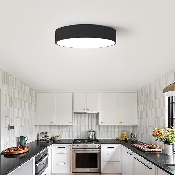 Flush Mount LED Ceiling Light, Dimmable 5CCT Modern Round Close to Ceiling Lighting Fixtures, Minimalist Black Ceiling Lamp,15.8 Inch