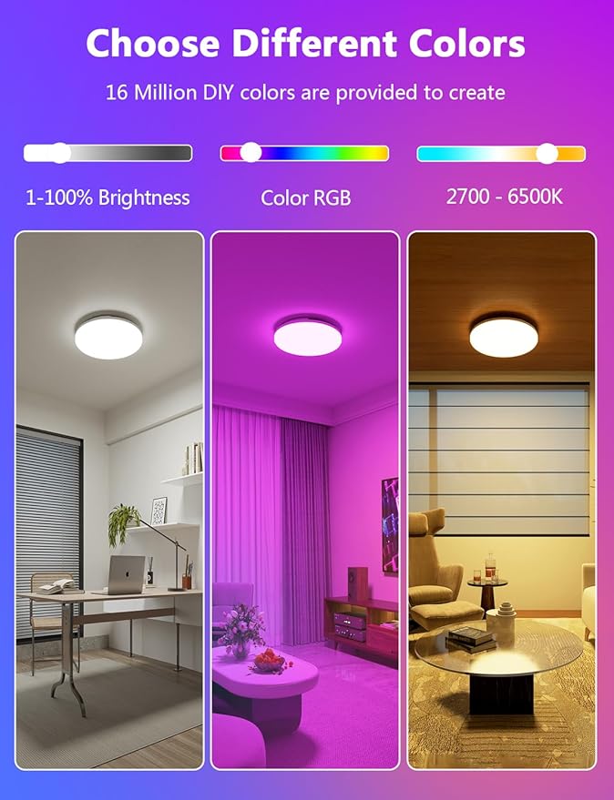 Smart LED Ceiling Light Fixture, Modern Dimmable Flush Mount Ceiling Light, Compatible with Alexa & Google Home, Lighting for Bedroom, Kitchen, Living Room, 12 Inch