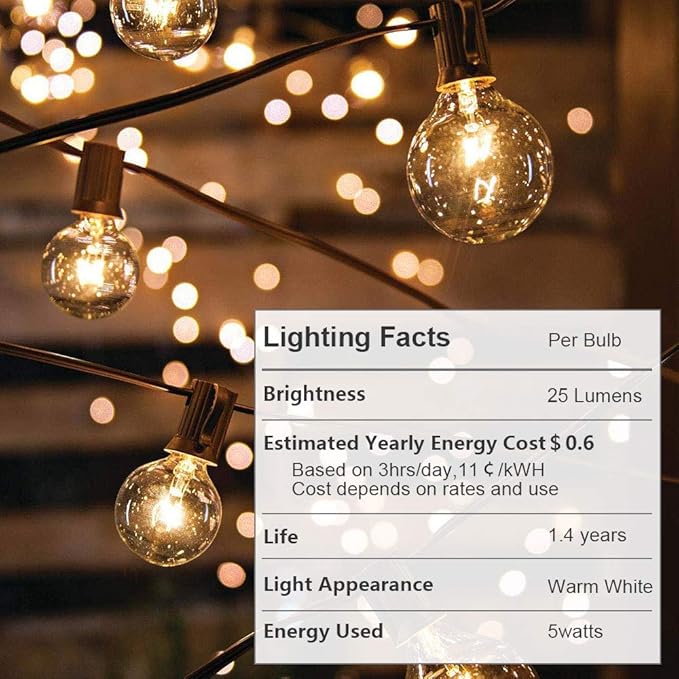 Globe String Lights with 27 Clear G40 Bulbs, Connectable Outdoor /Indoor Lights for Wedding Christmas Camping RV Garden Patio Gazebo Porch Pergola Bistro Backyard Balcony Deck, 25ft Black Wire