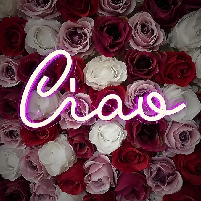 Ciao LED Neon Signs for Wall Decor Neon Wall Art Acrylic LED Lights with Hanging Chain Light Up Signs for Bedroom Decor Graduation Bar Pub Wedding Christmas Birthday Party 5V USB Powered Dimmable