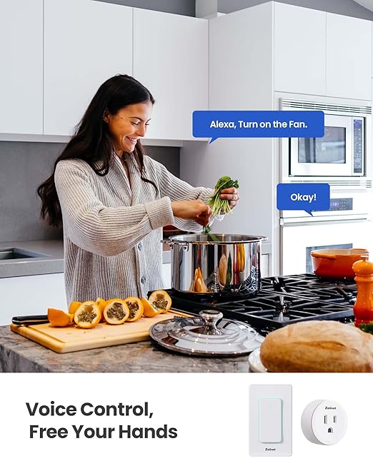 Smart Plug Switch, 2.4G WiFi Outlet, Compatible with Alexa, Google Home, Smart Life & IFTTT APP, Voice Control & Timer, Buckle Design & Removable, No Hub Needed, Programmable(2 Pack)