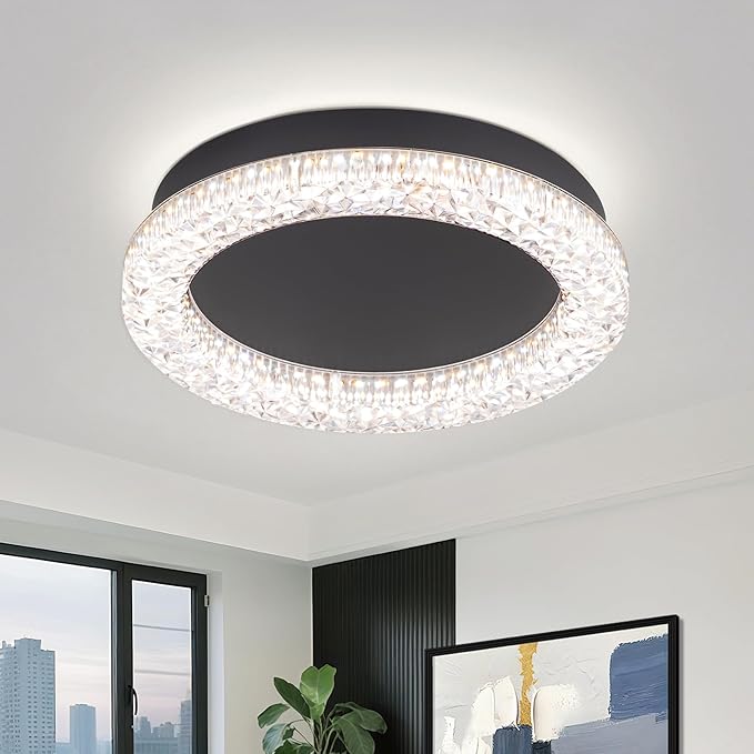 10 Inch LED Hallway Light Fixtures, 4500K Black Modern Flush Mount Ceiling Light,Round Acrylic Close to Ceiling Lighting Fixtures for Hallway Bedroom Entryway Kitchen Ceilings Lamp (Round)