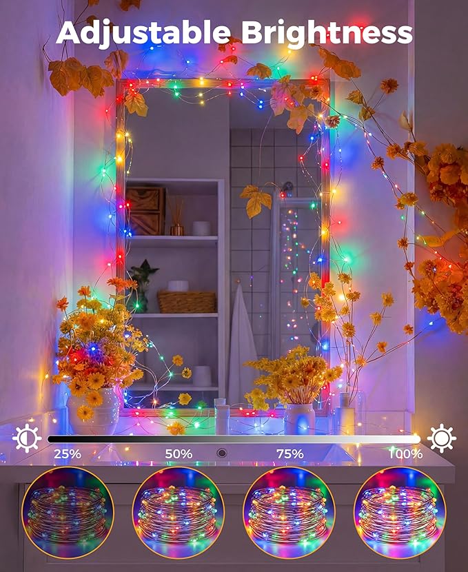 Plug-in Fairy Lights, 33 Ft 100 LED String Light with Remote, 8 Modes, Timer and Dimming Twinkle Lights for Indoor, Bedroom, Party, Decoration, Holiday, Multi-Colored