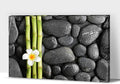 Zen Wall Art Decor, Modern Bathroom Zen Decor Wall Art, Canvas Wall Art for Spa Zen Room Decor, Green Bamboo Forest and Black Pebble Relaxing Art Prints for Office & Spa Wall Decor 32x48 Inches