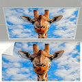 Fluorescent Light Covers for Ceiling Lights -Magnetic Cloud Cover for Fluorescent Or LED Fixture 2ft x 4ft Classroom,Home,Office Decoration Filters Overhead Lighting- Giraffe
