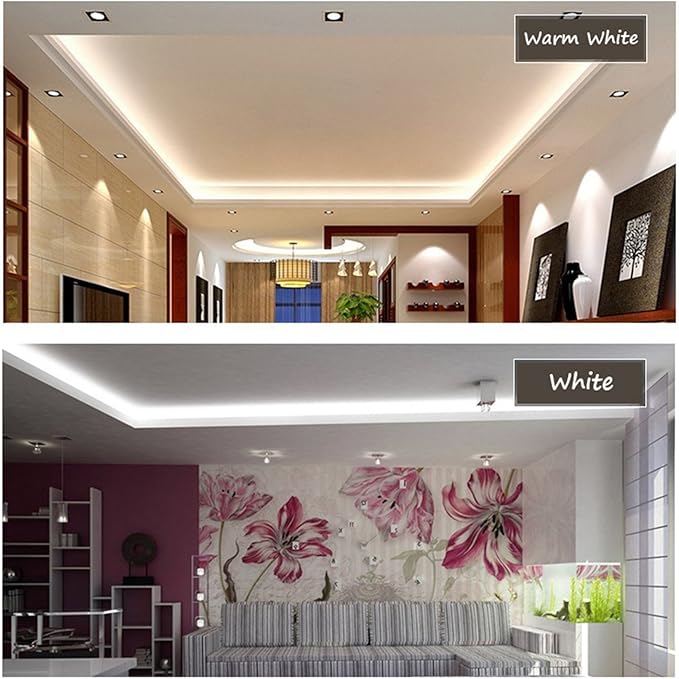 White Color LED Strip Light, AC 110-120V Flexible/Waterproof/Multi-Modes Function/Dimmable SMD5050 LED Rope Light with Remote for Home/Office/Building Decoration (16.4ft/5m)