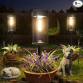 Solar Pathway Lights Outdoor, 8 Pack Bright Solar Lights Outdoor, Auto On/Off, IP65 Waterproof Solar Garden Lights Solar Powered Landscape Lighting for Yard Patio Walkway Driveway Pathway