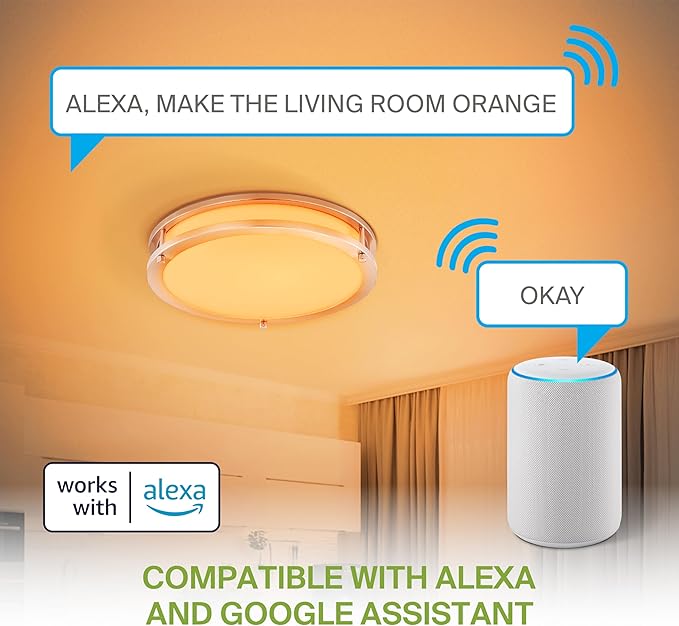 ASD LED 14" Round Flush Mount Lighting, Close to Ceiling Light Fixture | Smart, Multicolor, Dimmable, ETL Listed | 21W 1429LM RGB-2700-6500K 120V | Low Profile Double Ring Lamp | Nickel, 4 Pack