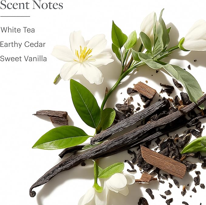 Westin White Tea Home Scent Diffuser Machine – Hotel Air Freshener with Signature White Tea Refill Cartridge – Waterless Scent Air Fragrance System for Large Rooms