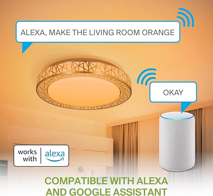 ASD 20 Inch Smart RGBW Flush Mount Ceiling Light with Remote - Brushed Nickel 42W 120V 2700-6500K Dimmable Ceiling Light Fixture, WiFi App Control RGB Lights, Alexa & Google Assistant - ETL, 2 Pack