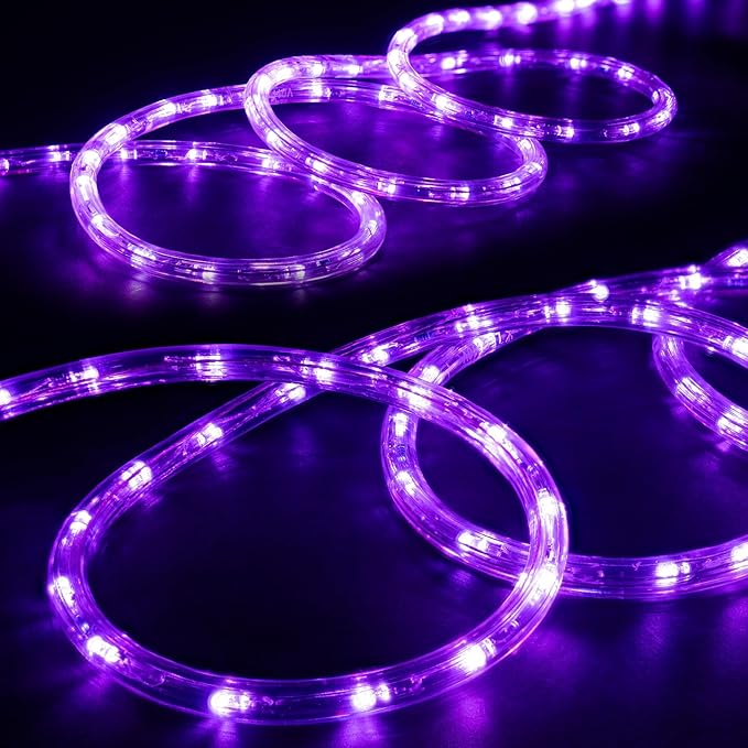 WYZworks 288LEDs 25ft LED Outside Rope Lights, Outdoor ETL Certified Waterproof Permanent 360 Degree Light Emitting, Flexible Tube, Connectable, Christmas Palm Tree Exterior Landscape, Purple