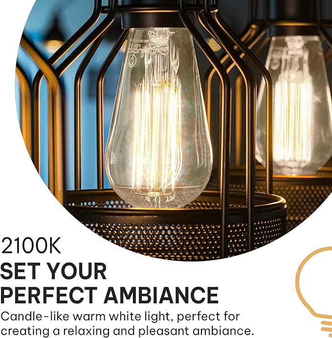 HUDSON BULB CO. Vintage Incandescent Edison Light Bulbs 60W (4 Pack)- E26/E27 Base 2100K Dimmable Decorative Lightbulbs for Outdoor and Indoor - ST64 Style Warm Light - Antique Squirrel Filament