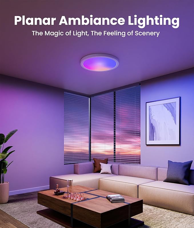 12 Inch Smart Ceiling Light, 2400LM RGBCW LED Flush Mount Ceiling Light Work with App & Voice Control, 2700K-6500K Dimmable LED Ceiling Light Fixture for Living Room Bedroom Gaming Room, 2 Pack