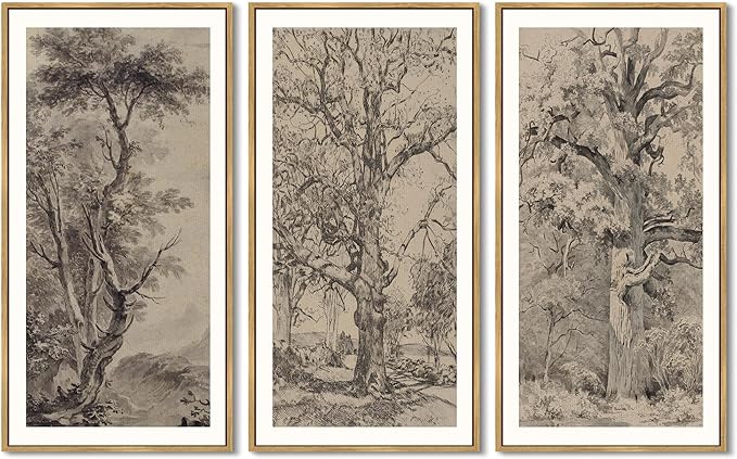 KUVIOKE Large 12x24in Vintage Sketch Trees Drawings Farmhouse Rustic Framed Wall Art for Living Room Bedroom Ready to Hang Natural Framed