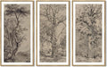 KUVIOKE Large 12x24in Vintage Sketch Trees Drawings Farmhouse Rustic Framed Wall Art for Living Room Bedroom Ready to Hang Natural Framed