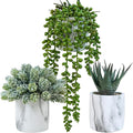 Winlyn Set of 3 Small Artificial Succulent Potted Plants Fake Aloe Hops String of Pearls in Modern Marble Ceramic Planter for Home Garden Bathroom Shelf Office Desk Tabletop Indoor Outdoor Décor