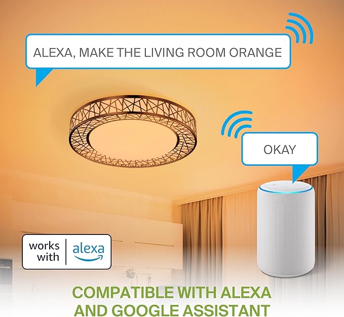 ASD 16 Inch Smart RGBW Flush Mount Ceiling Light with Remote - Matte Black 28W 120V 2700-6500K Dimmable Ceiling Light Fixture, WiFi App Control RGB Lights, Alexa & Google Assistant - ETL