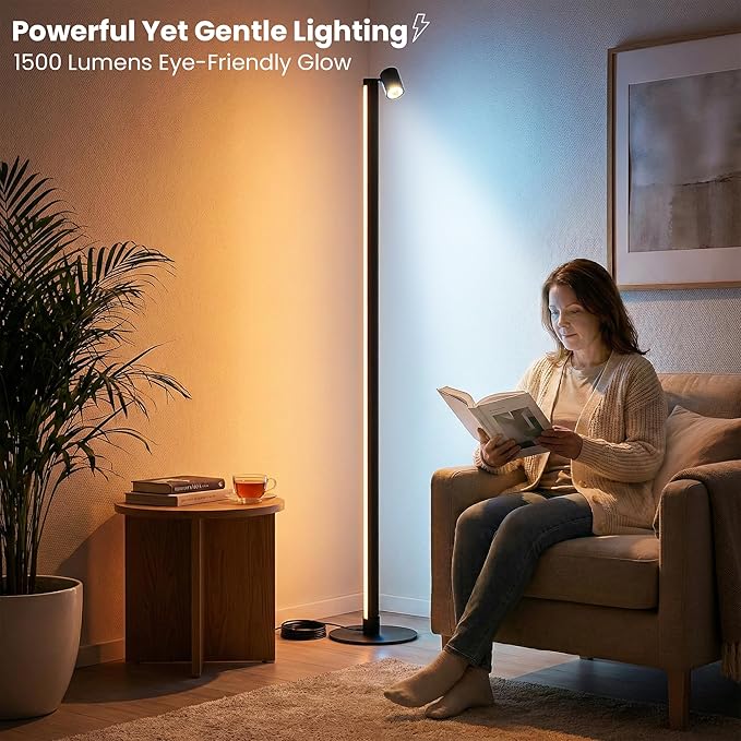 24V Smart RGB Floor Lamp with Independent Color Control Warm & Cool White, 2000 Lumens Reading Light, Music Sync, Compatible with Alexa & Google Assistant, App & Remote Control