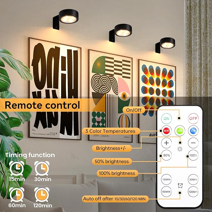 2-Pack Picture Light Battery Operated with Remote, LED Painting Lights, Dimmable and Timer Painting Light, Art Display Light for Picture Frame Artworking Portrait, Home Wall Decor Black display light
