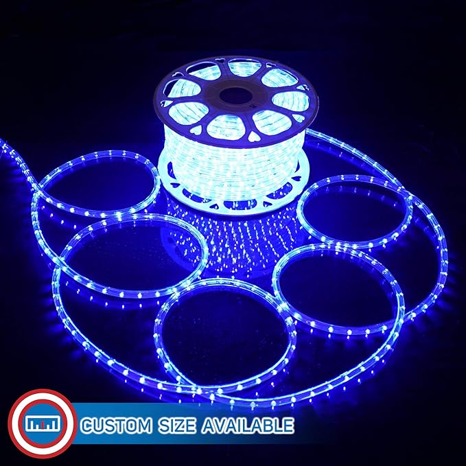 Russell Decor LED Rope Lights Festival Holiday Party Seasonal Christmas Decoration 30ft - 200ft Customized Available (Blue, 20)