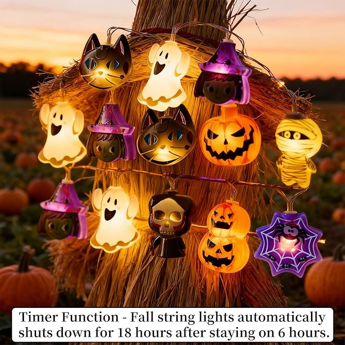 Halloween String Lights, 10 FT 20 LED Fall Fairy Lights USB & Battery Optional Halloween Decor Autumn Light 8 Flashing Modes Cute Skull String Lights 2025 Indoor Outdoor Decor for Home Yard Patio