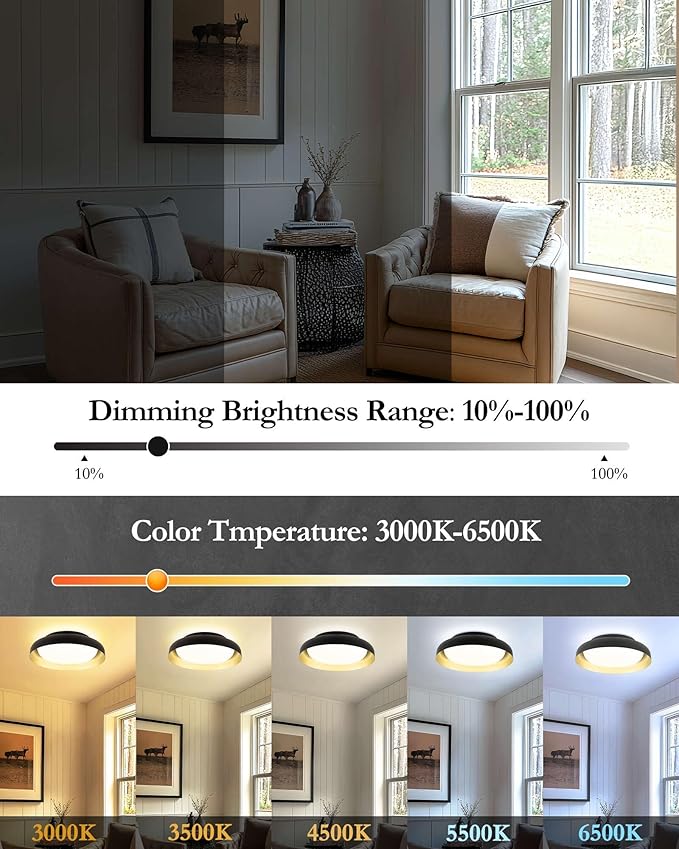 Ken & Ricky Flush Mount Ceiling Light Fixture, Led Dimmable 24w for Bedroom Kitchen Bathroom Laundry Hallway Entryway,Remote Control (Black and Gold,12Inch,2PK)