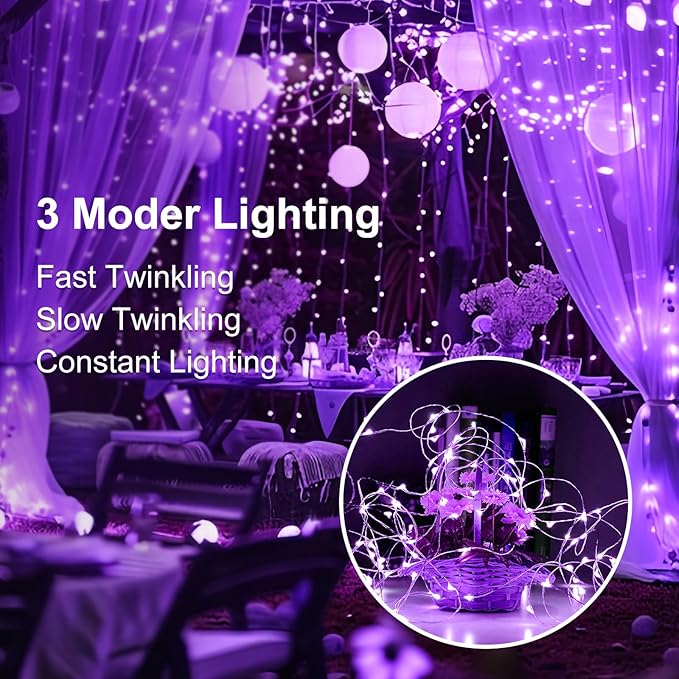 24Pack Fairy Lights Battery Operated, 7ft 20 LED 3 Modes Speed Twinkle Mini String Lights Waterproof Silver Wire Firefly Starry Lights for Mason Jars Wedding Party Christmas Decorations